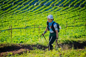 BIB: 
                            <button type="button" onclick="openModal(19160301)" class="btn btn-primary btn-sm float-right btn-popup" data-toggle="modal" data-target=".modal-high-quality">
                        <i class="fas fa-shopping-cart"></i> Add to Cart
                    </button>
                                            <button type="button" onclick="isThisMe(19160301, true)" class="btn btn-success btn-sm float-right btn-popup btn-isme hidden" data-toggle="tooltip" data-placement="bottom" title="นี่คือรูปของคุณใช่ไหม คลิกที่นี่เพื่อเอาเข้าอัลบั้ม">
                        <i class="fas fa-plus"></i> Add to album
                    </button>
                    <button type="button" onclick="isThisMe(19160301, false)" class="btn btn-warning btn-sm float-right btn-popup btn-isnotme hidden">
                        <i class="fas fa-ban"></i> Remove from album
                    </button>